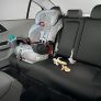 2016-2017 Honda Accord Genuine OEM Seat Covers